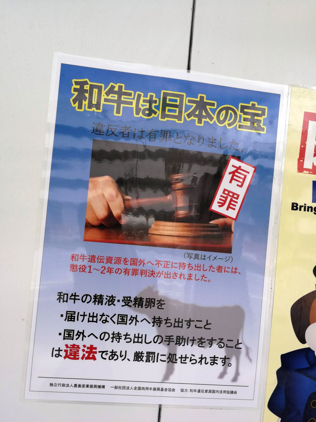 和牛は日本の宝