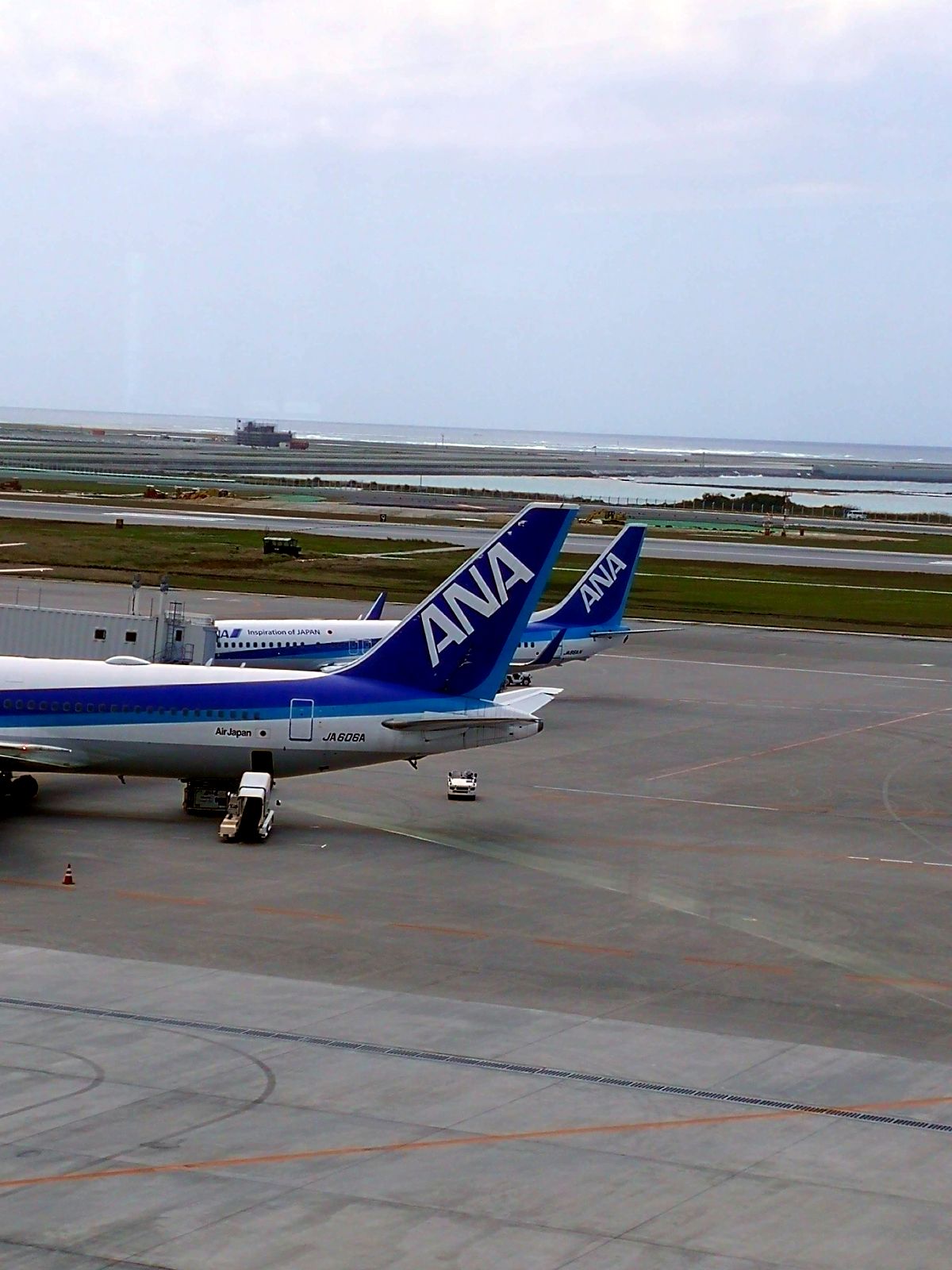 ANA機の垂直尾翼