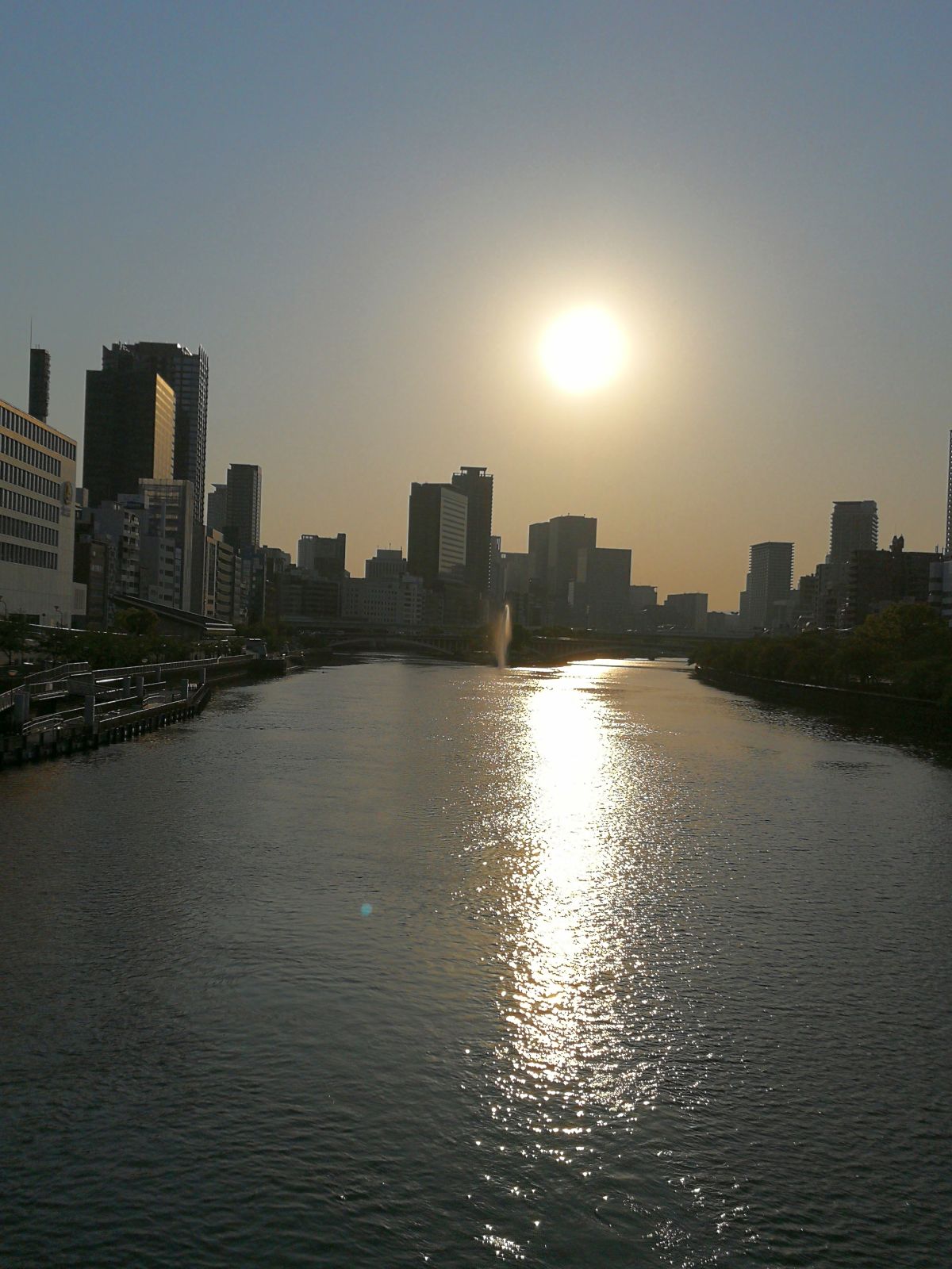 夕方の中之島