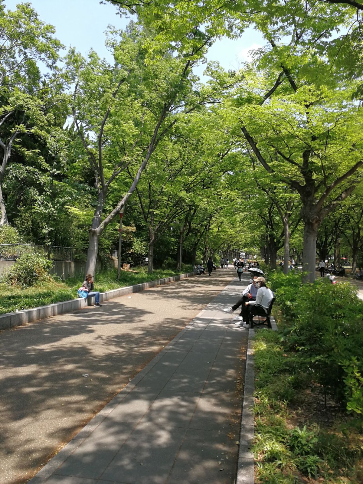 昼休みの時間帯