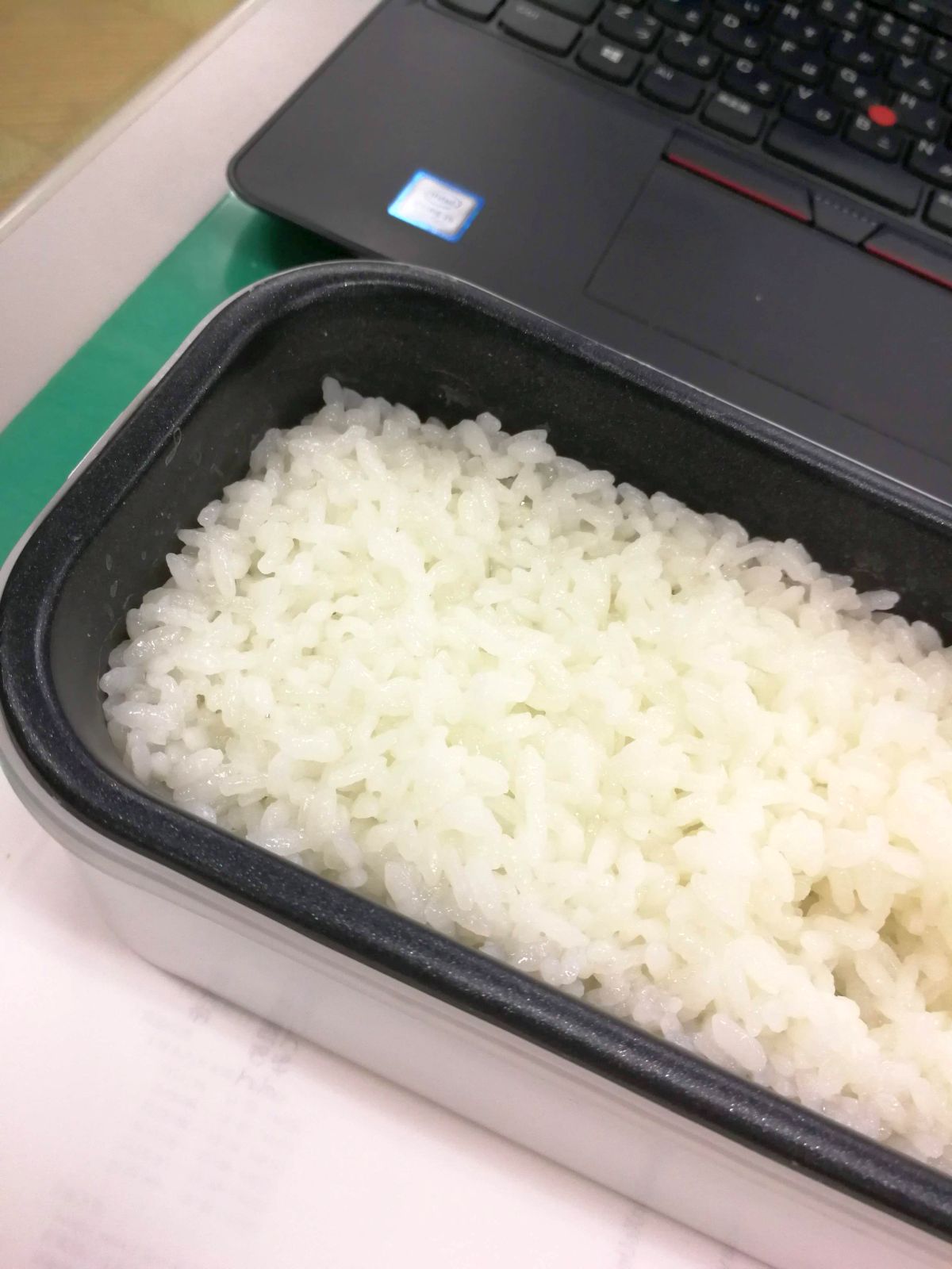 本日の昼食