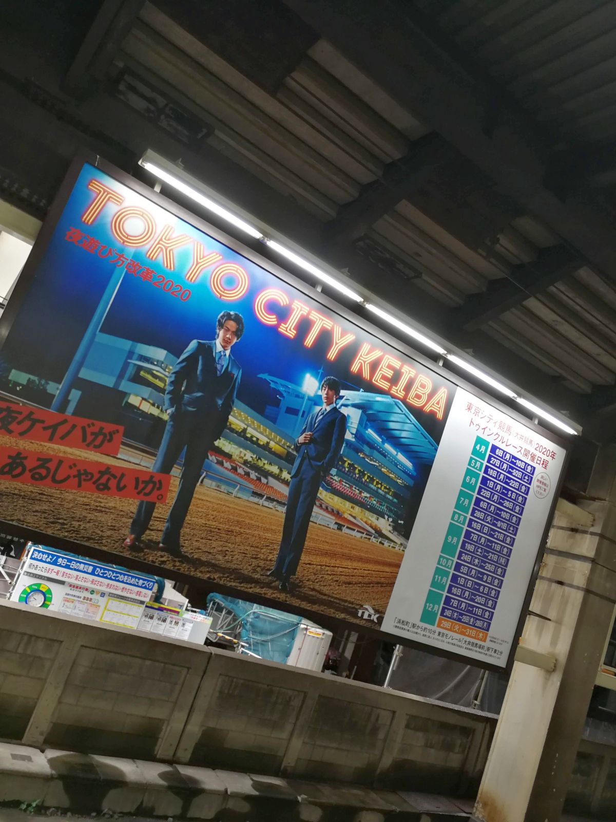 東京シティ競馬