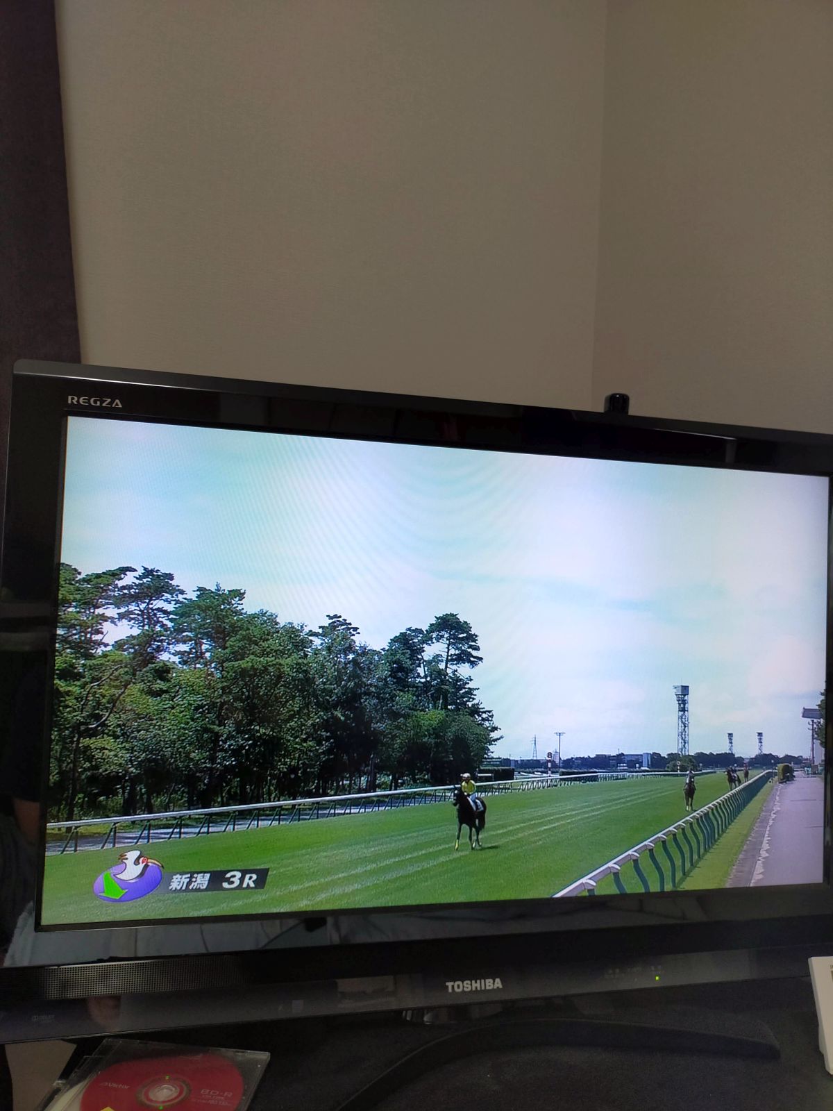 本馬場入場