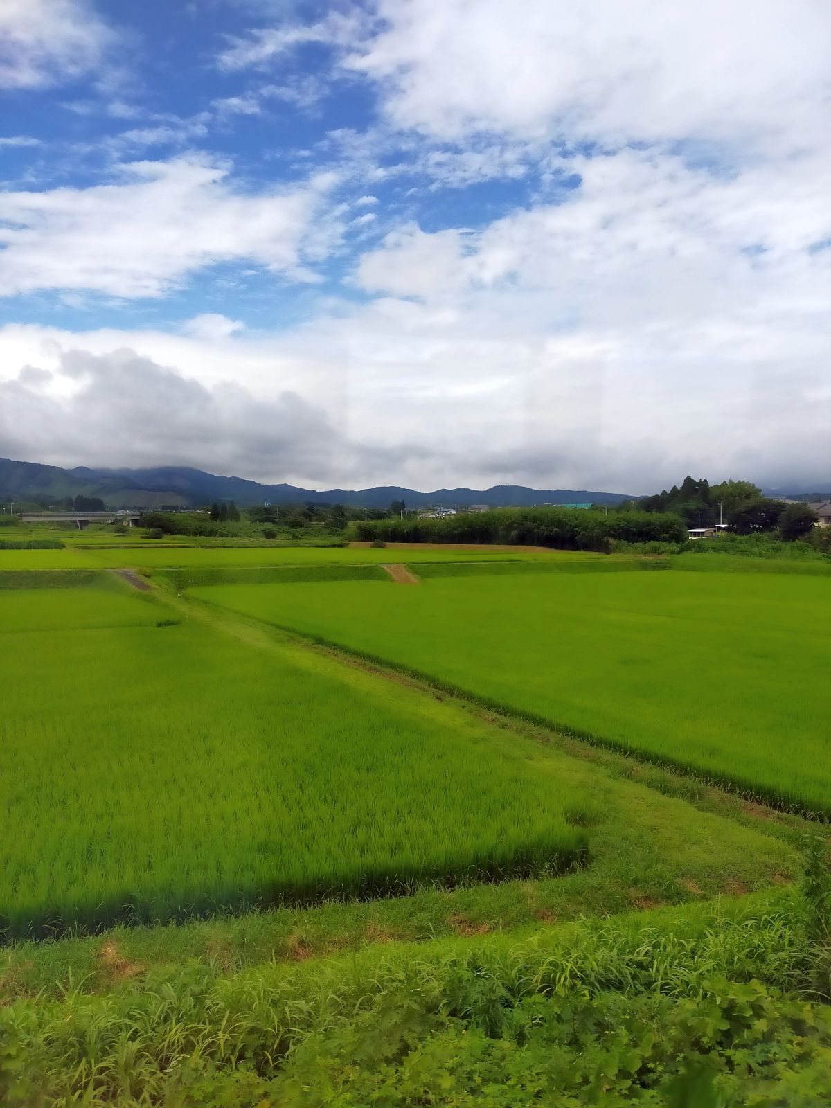 外の風景