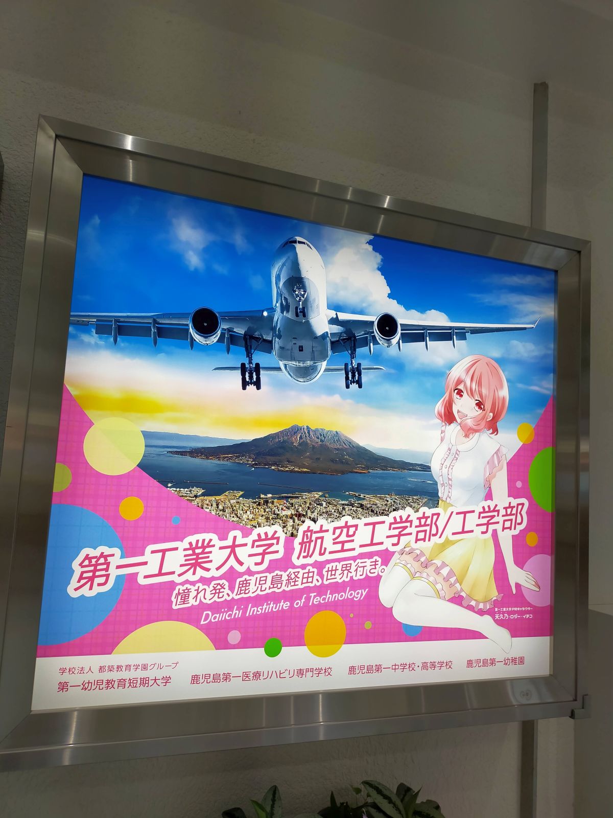 大学広告