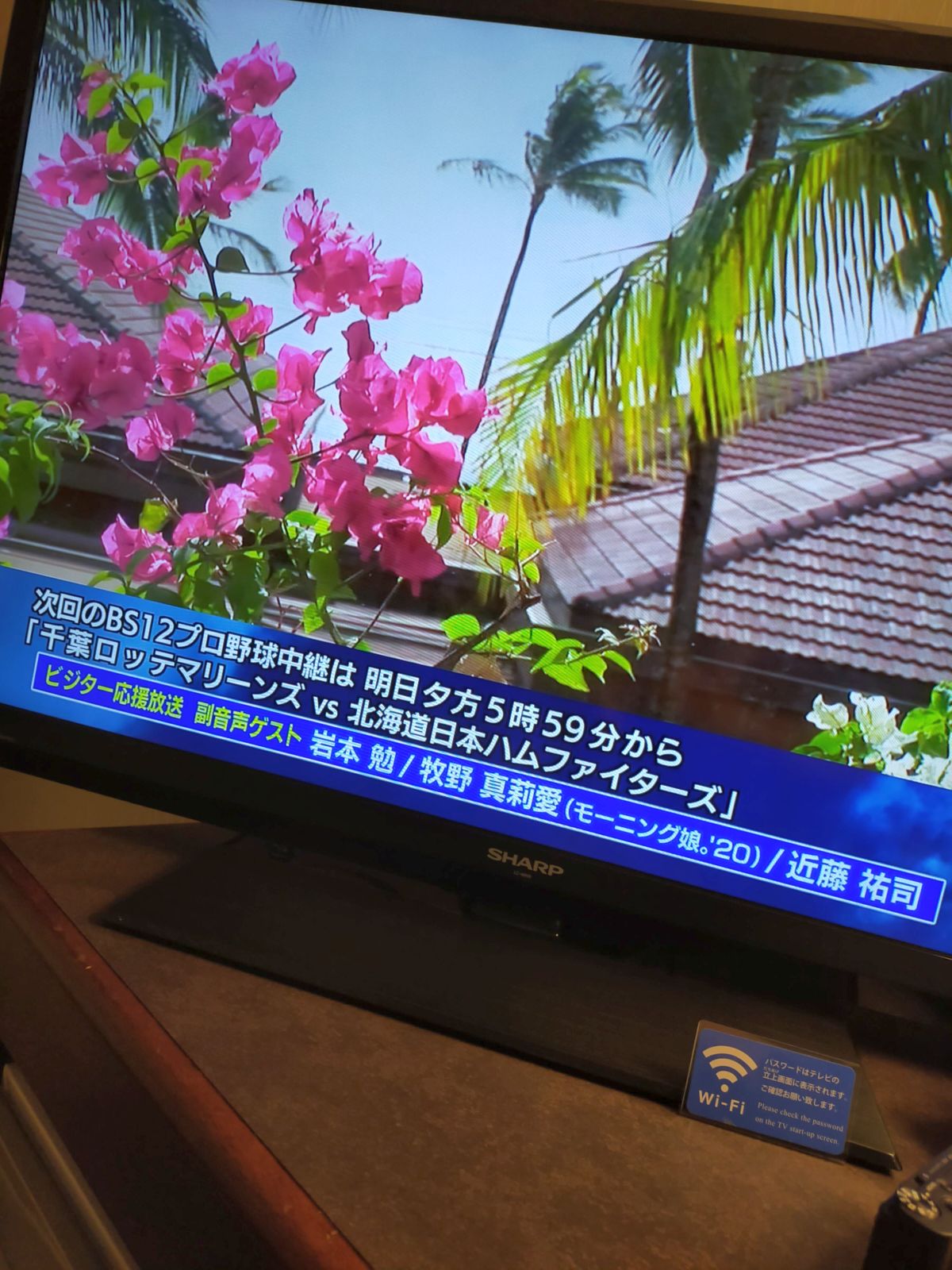 副音声ゲスト