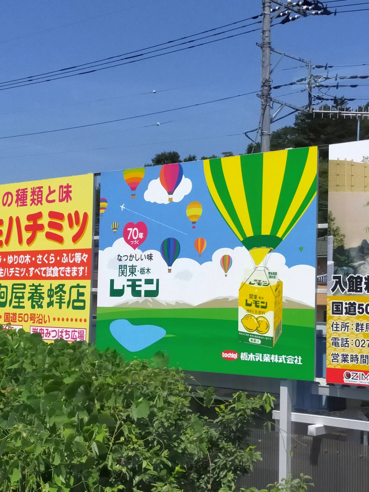 なつかしい味 関東・栃木レモン
