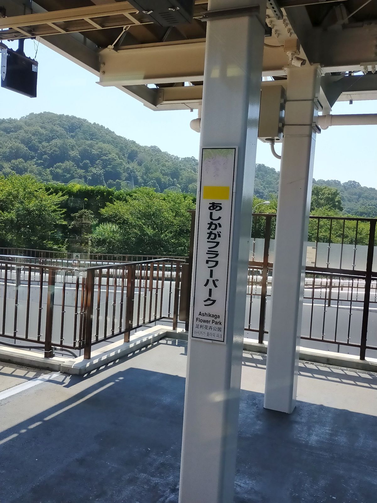 あしかがフラワーパーク