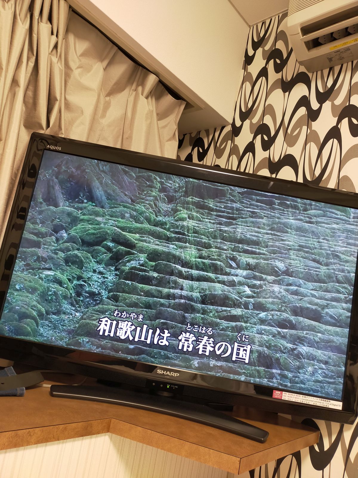 和歌山は常春の国