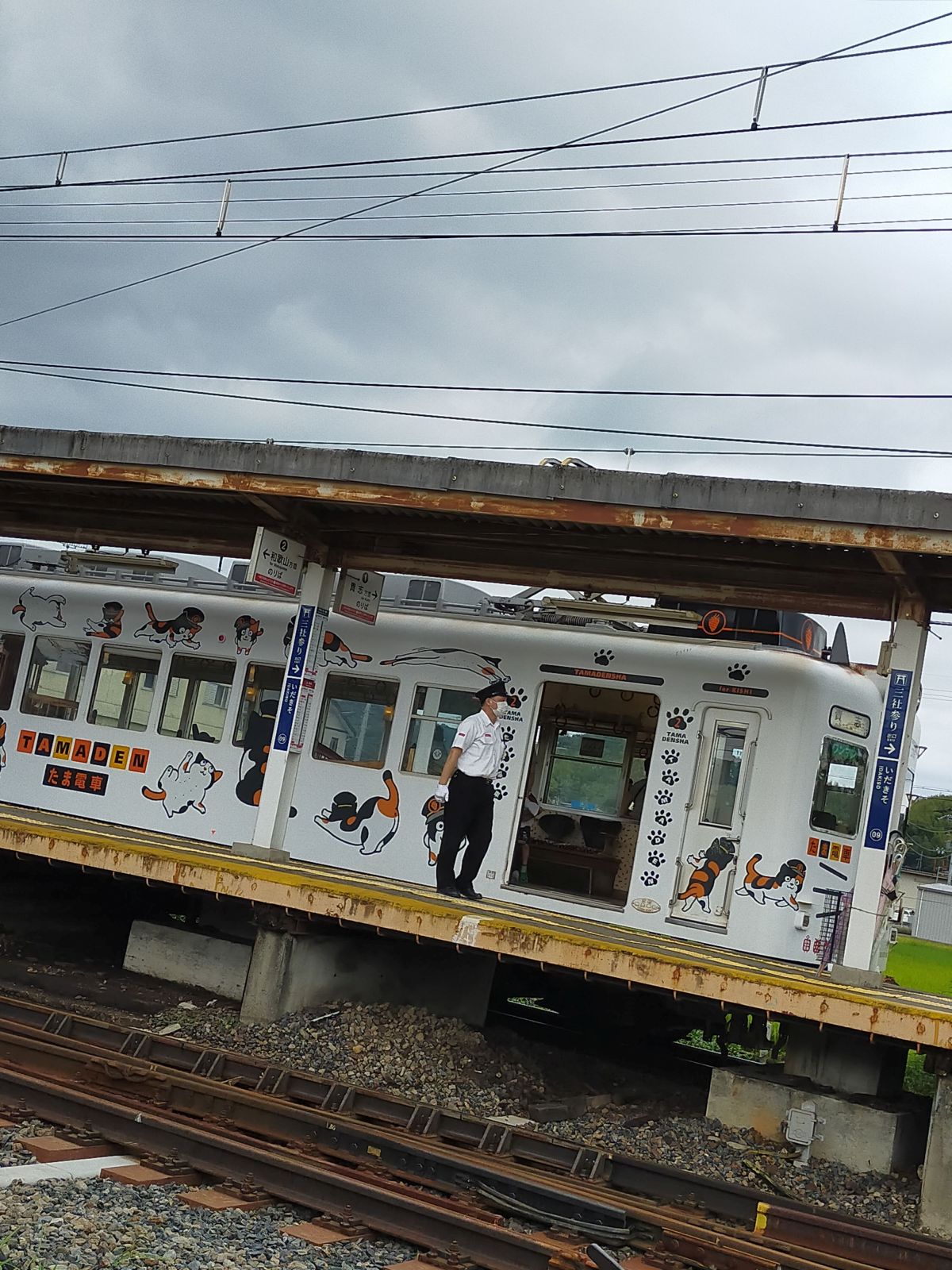 たま電車