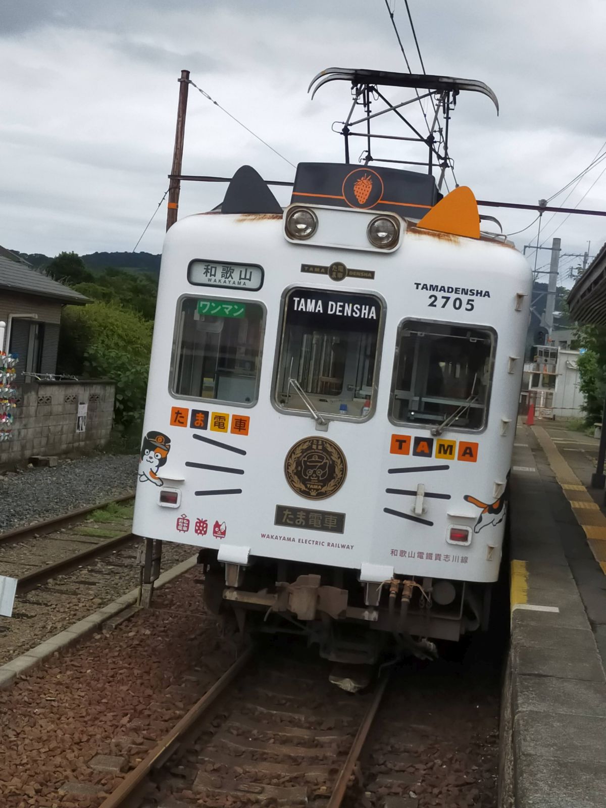 たま電車