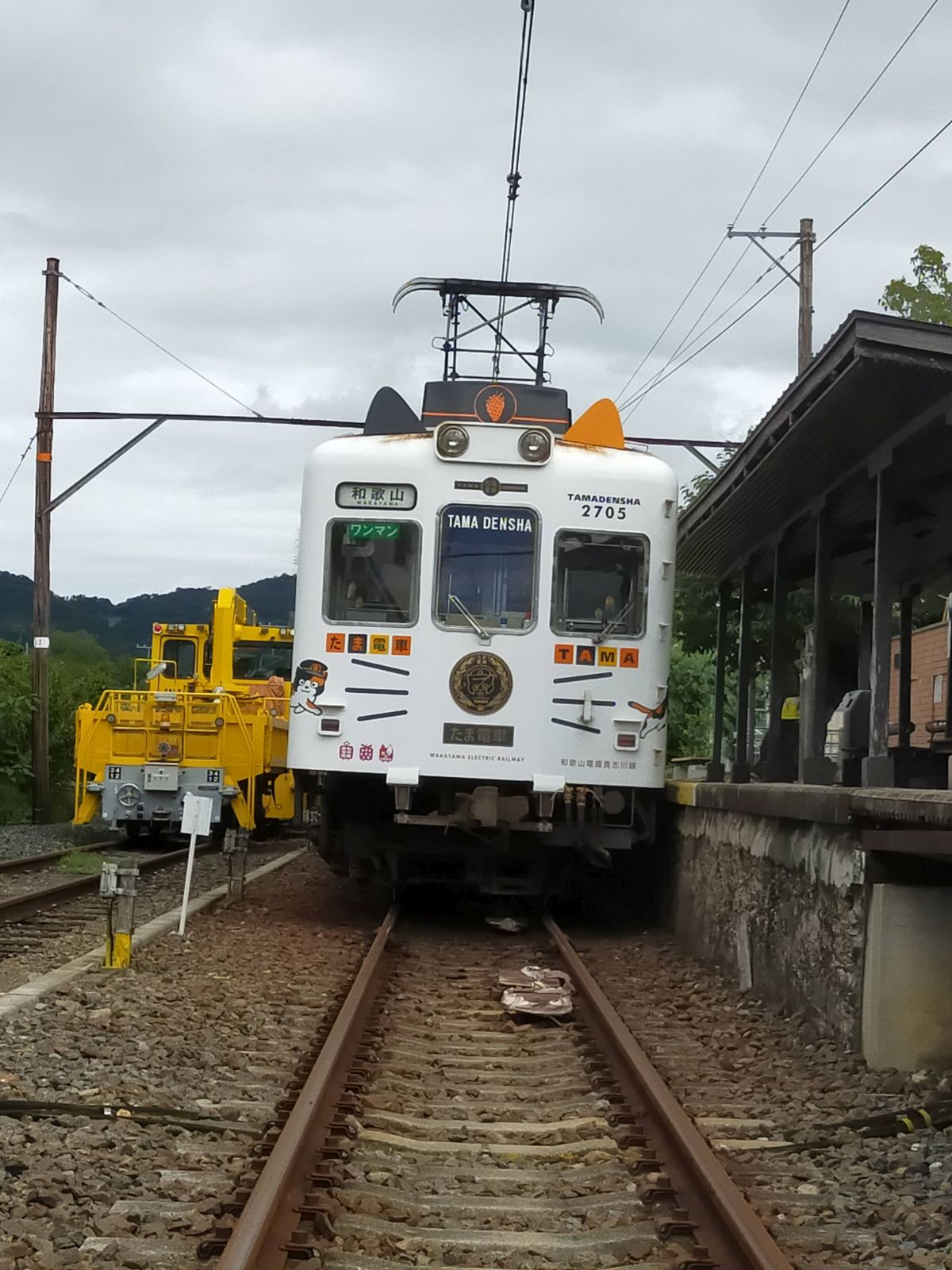 たま電車２