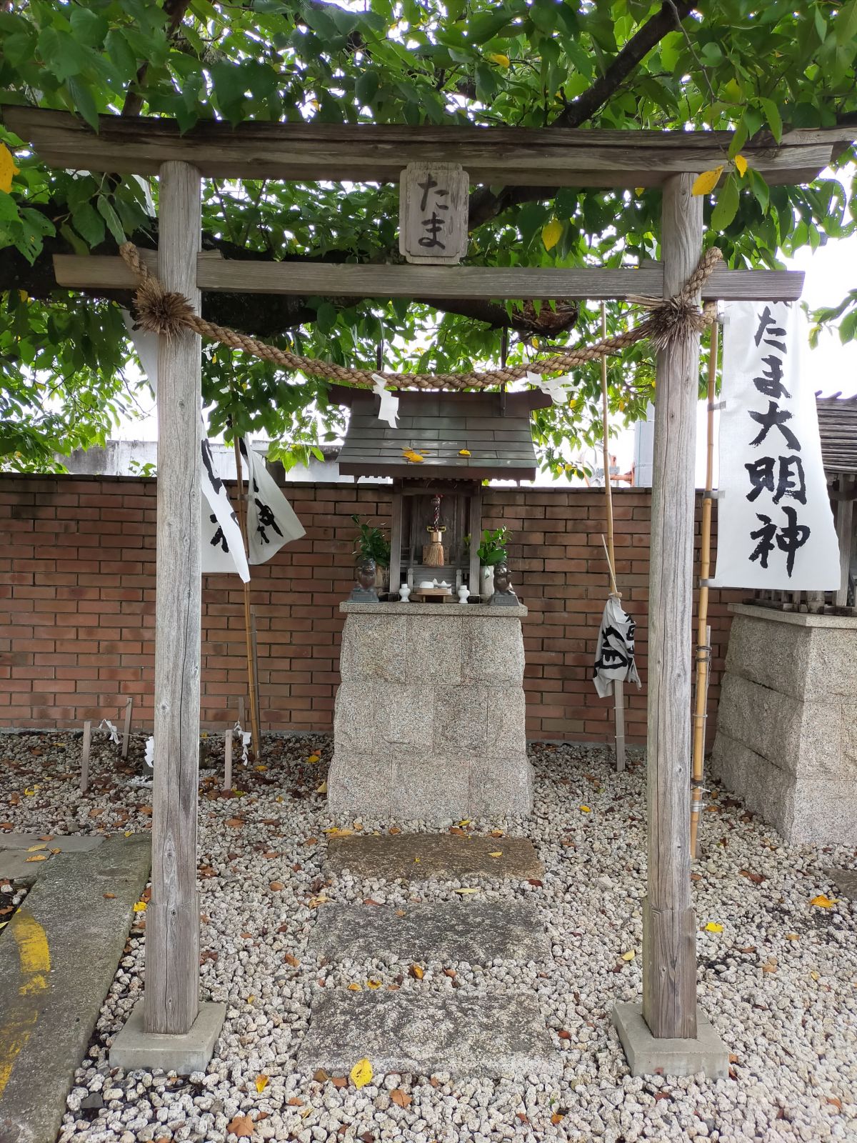 たま神社