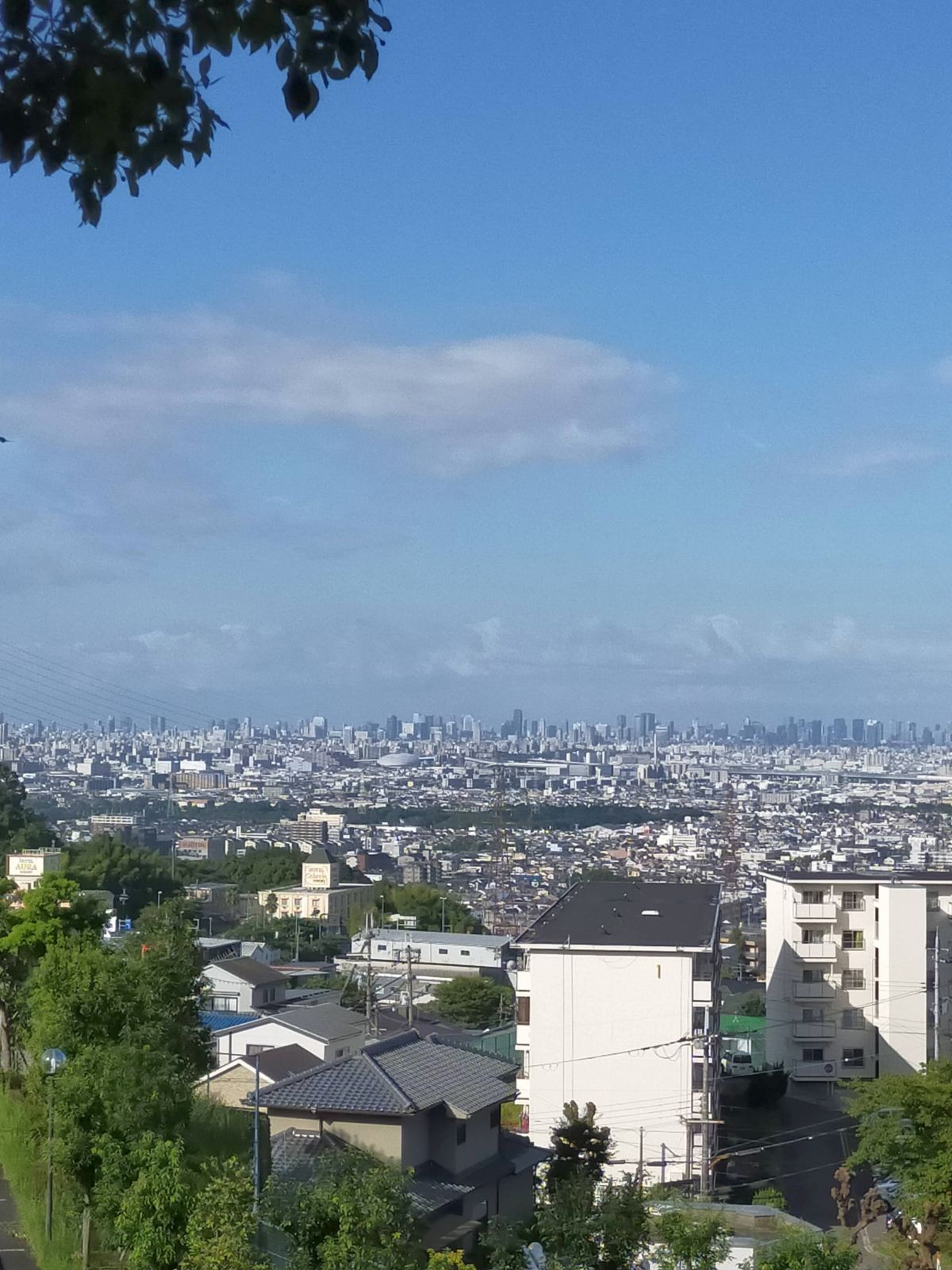 土曜日出勤