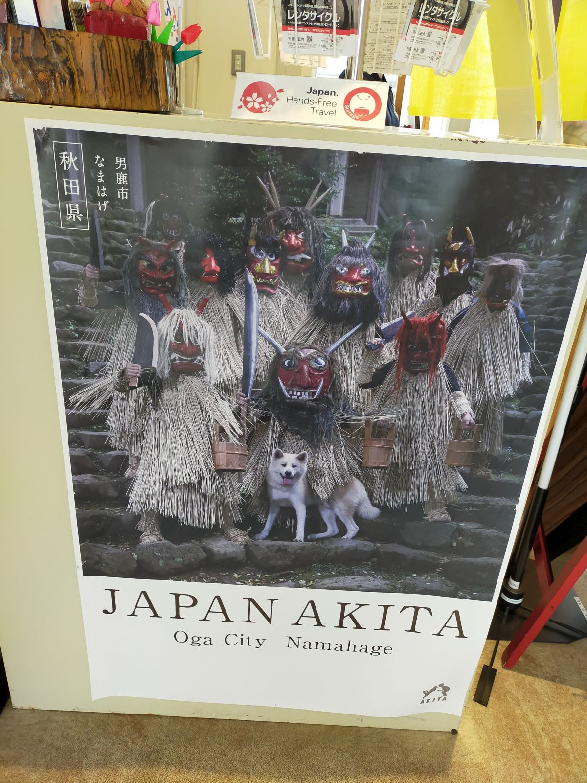 JAPAN AKITA