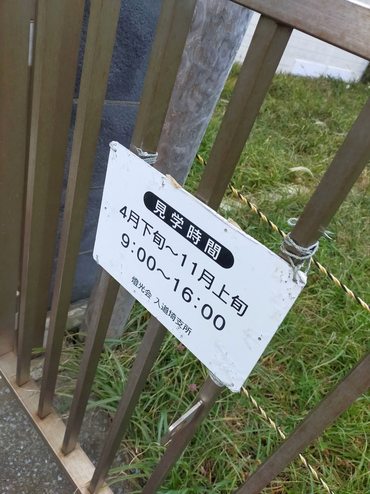 見学時間