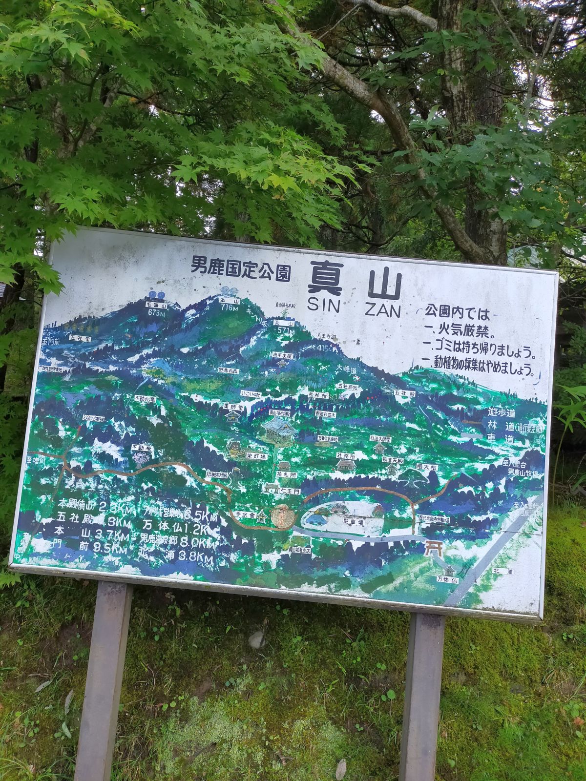 真山周辺図