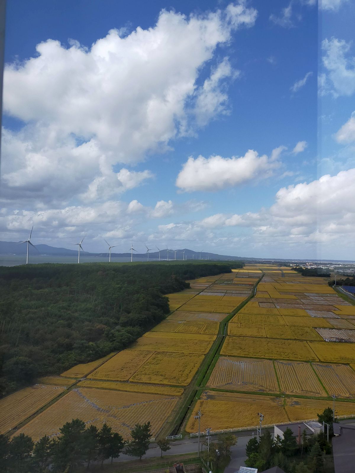 展望室からの風景