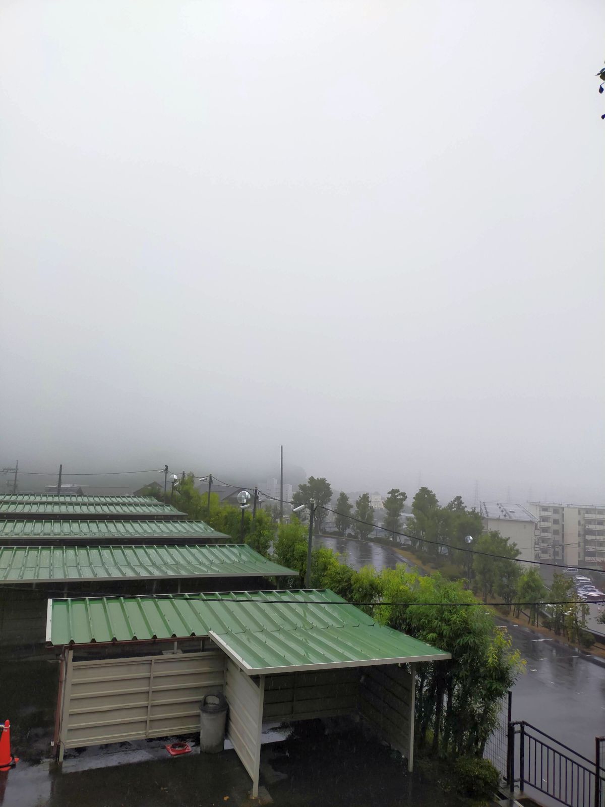 本日の下界