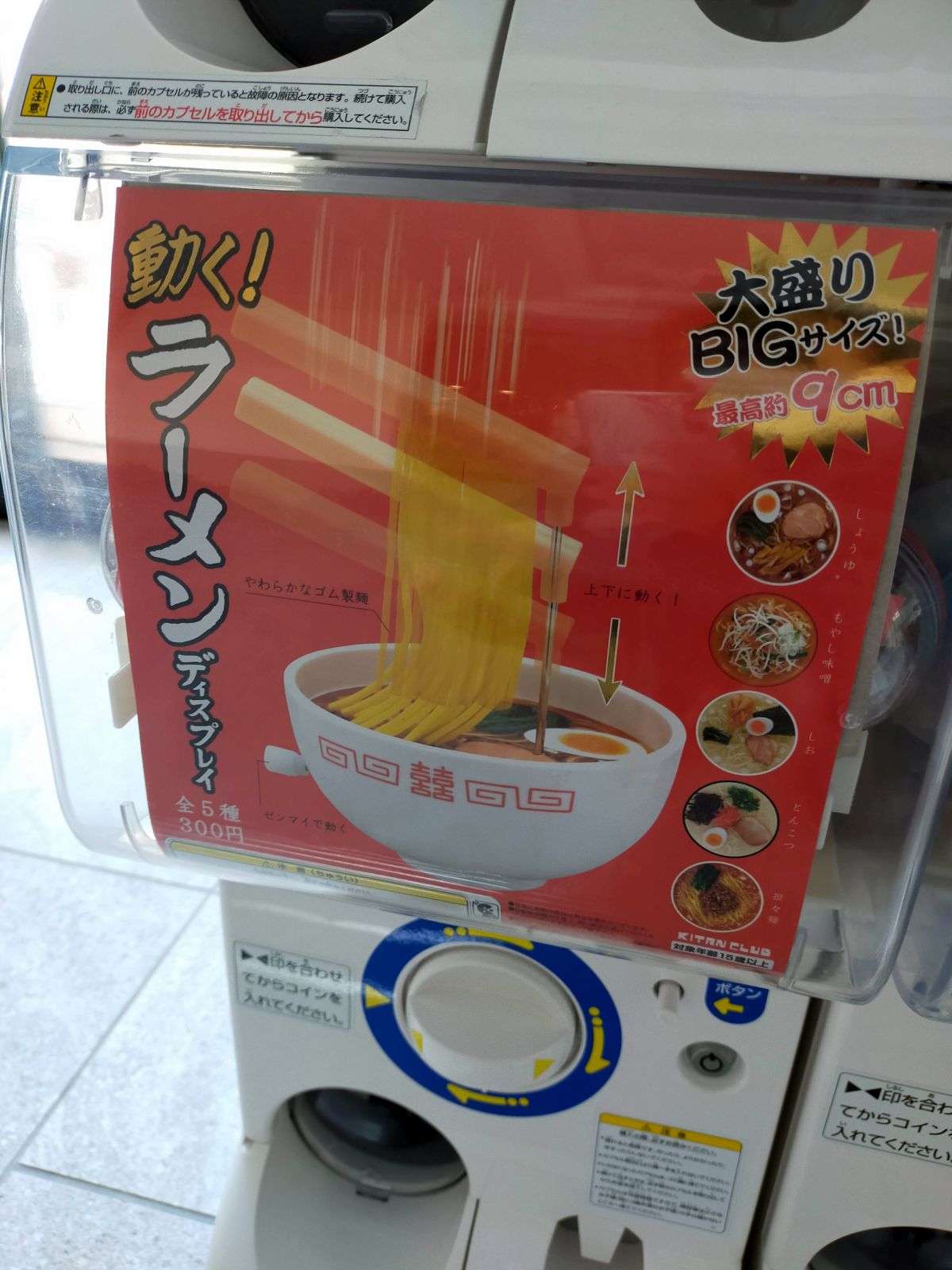 ガチャガチャ観察２