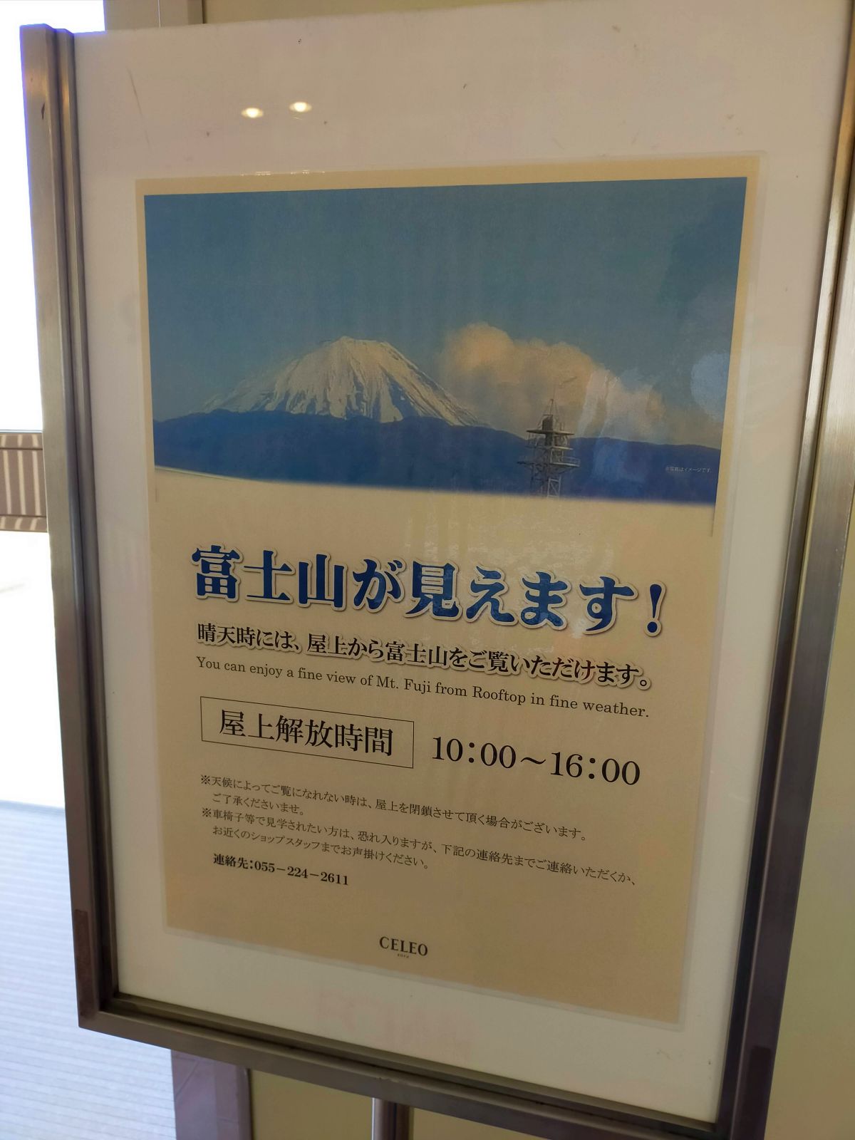 富士山が見えます！