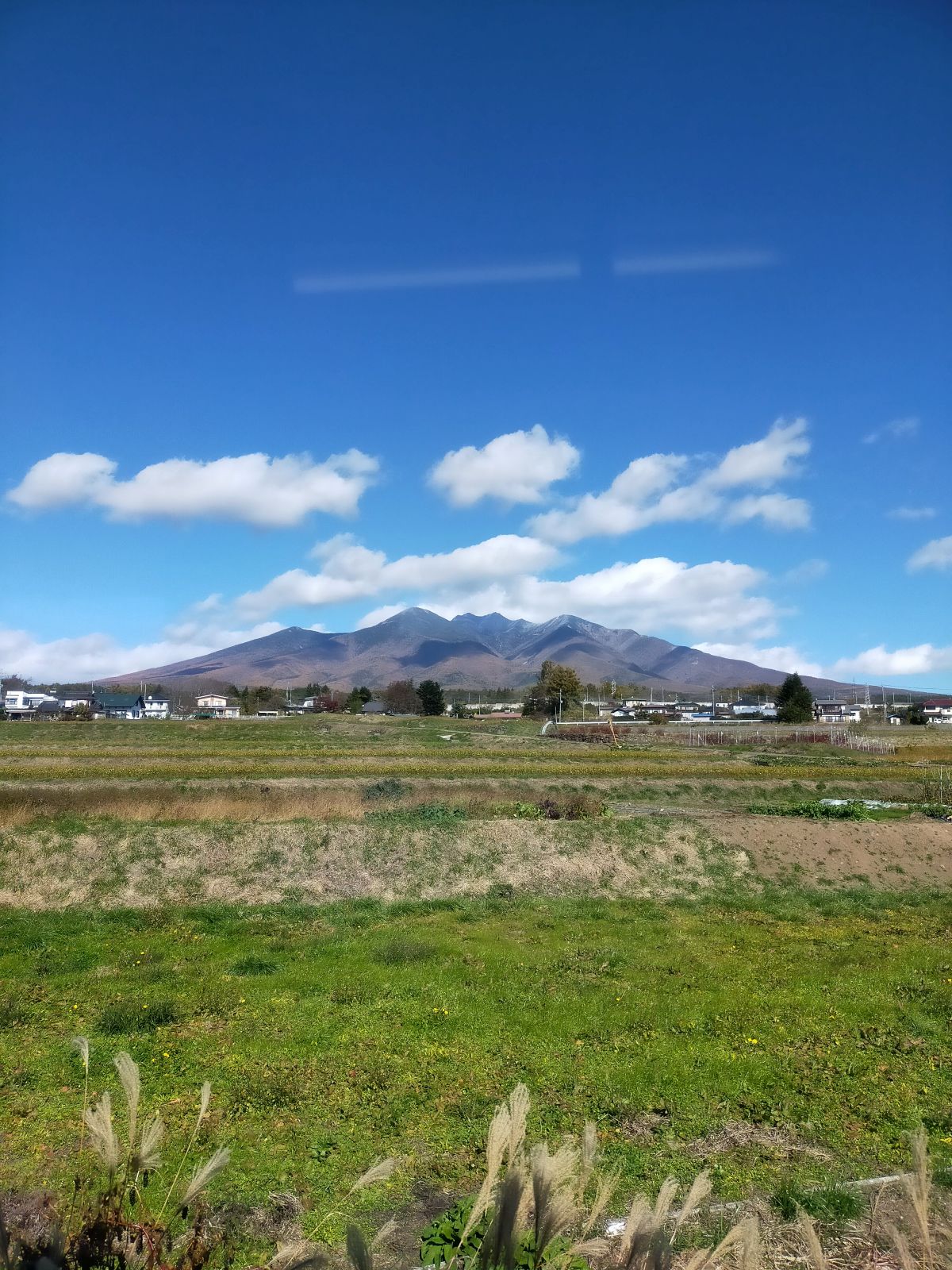 山の風景
