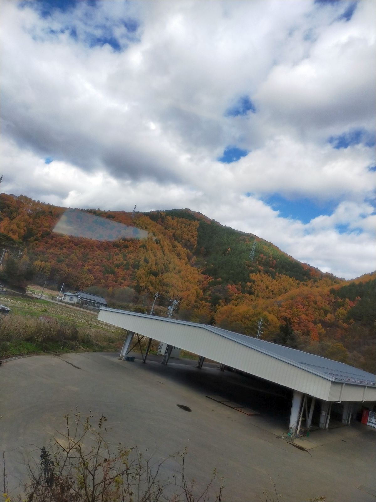 紅葉の季節