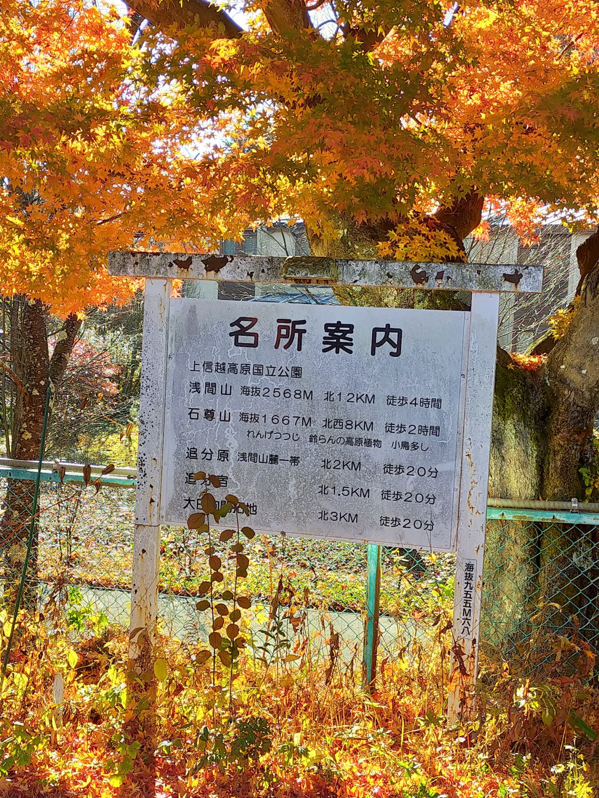 信濃追分駅