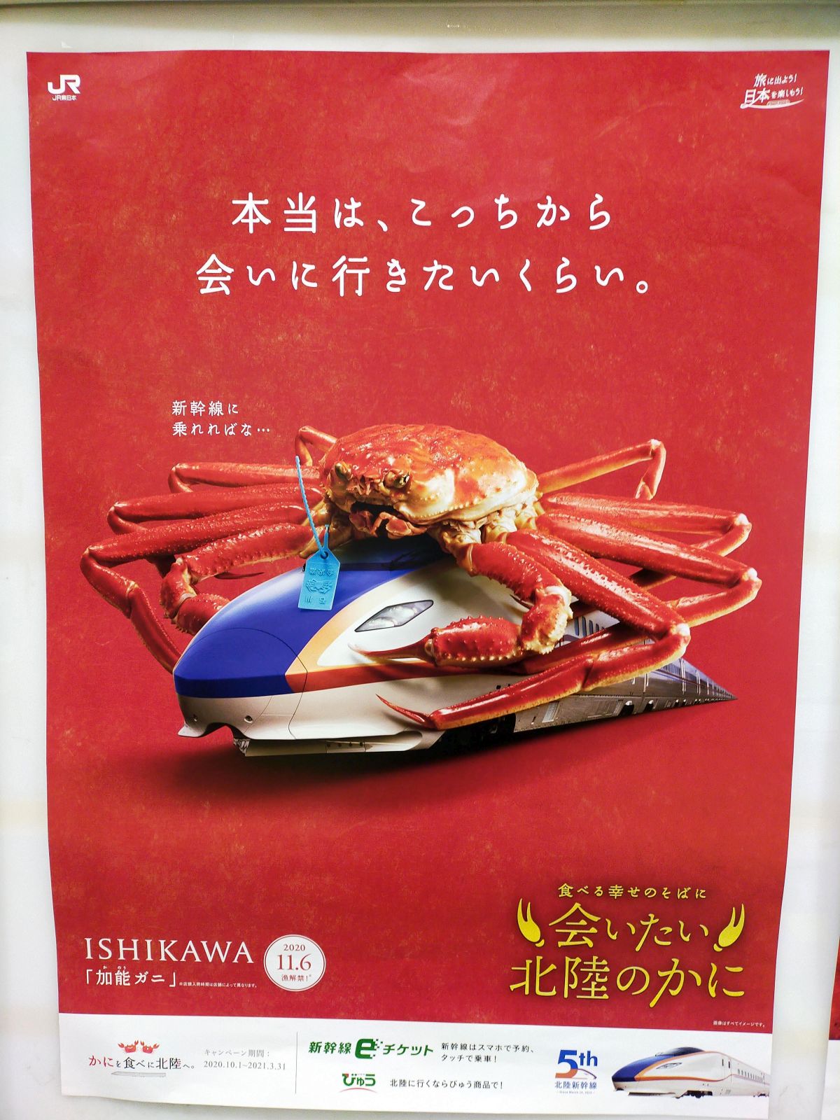 会いたい北陸のかに