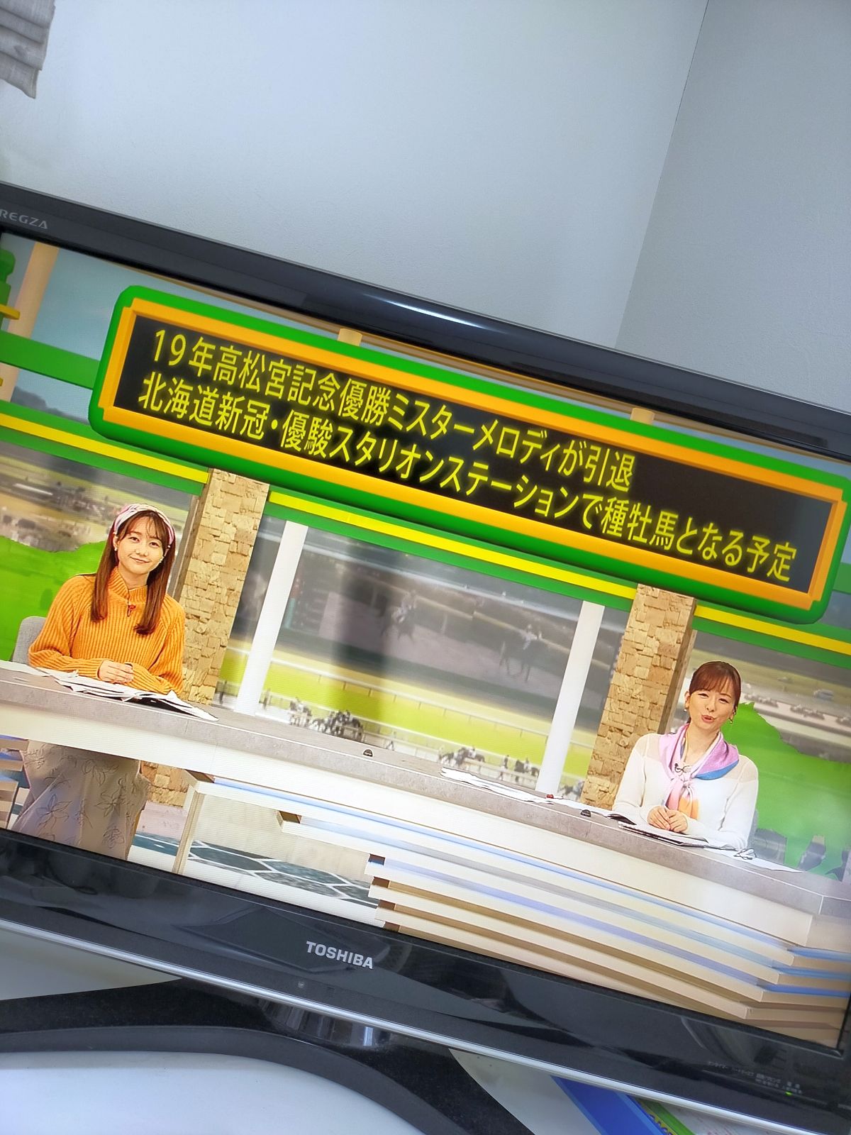本日の競馬番組