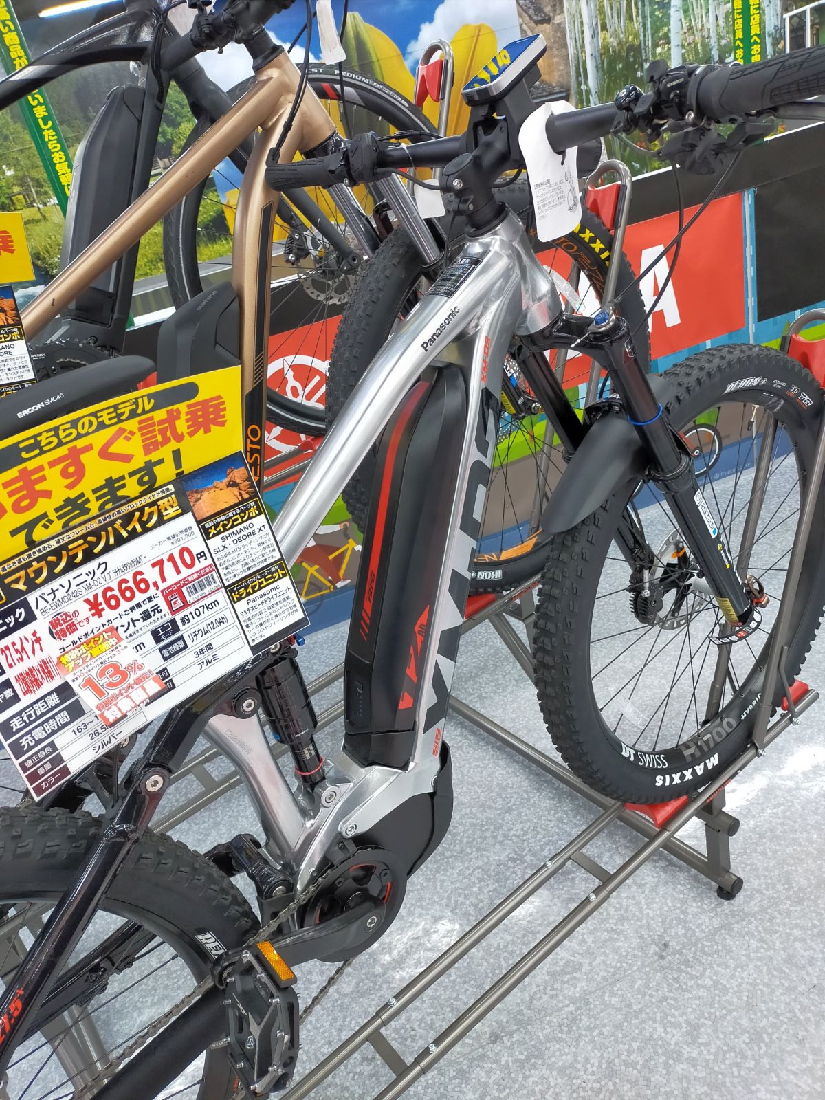 自転車の下見