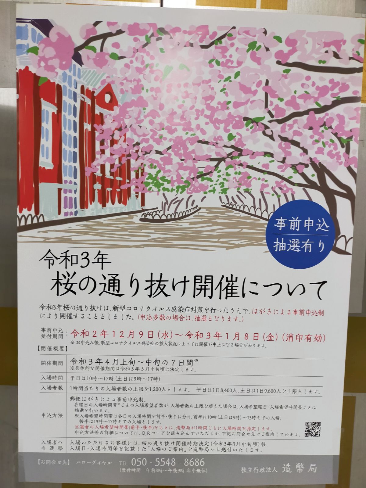 桜の通り抜け