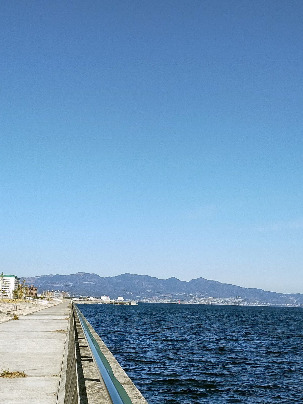 別府湾の風景