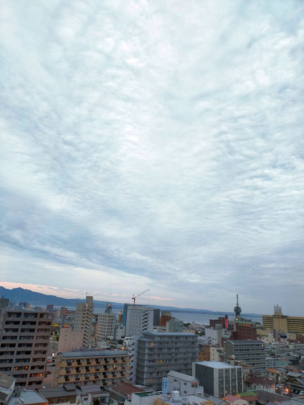 本日のお天気