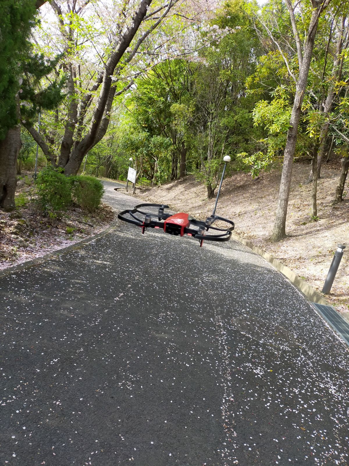 Mavic Airの飛行