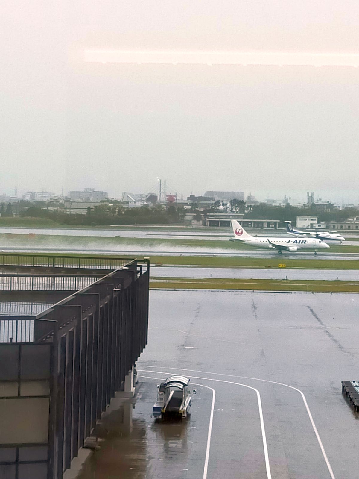 飛行機撮影会