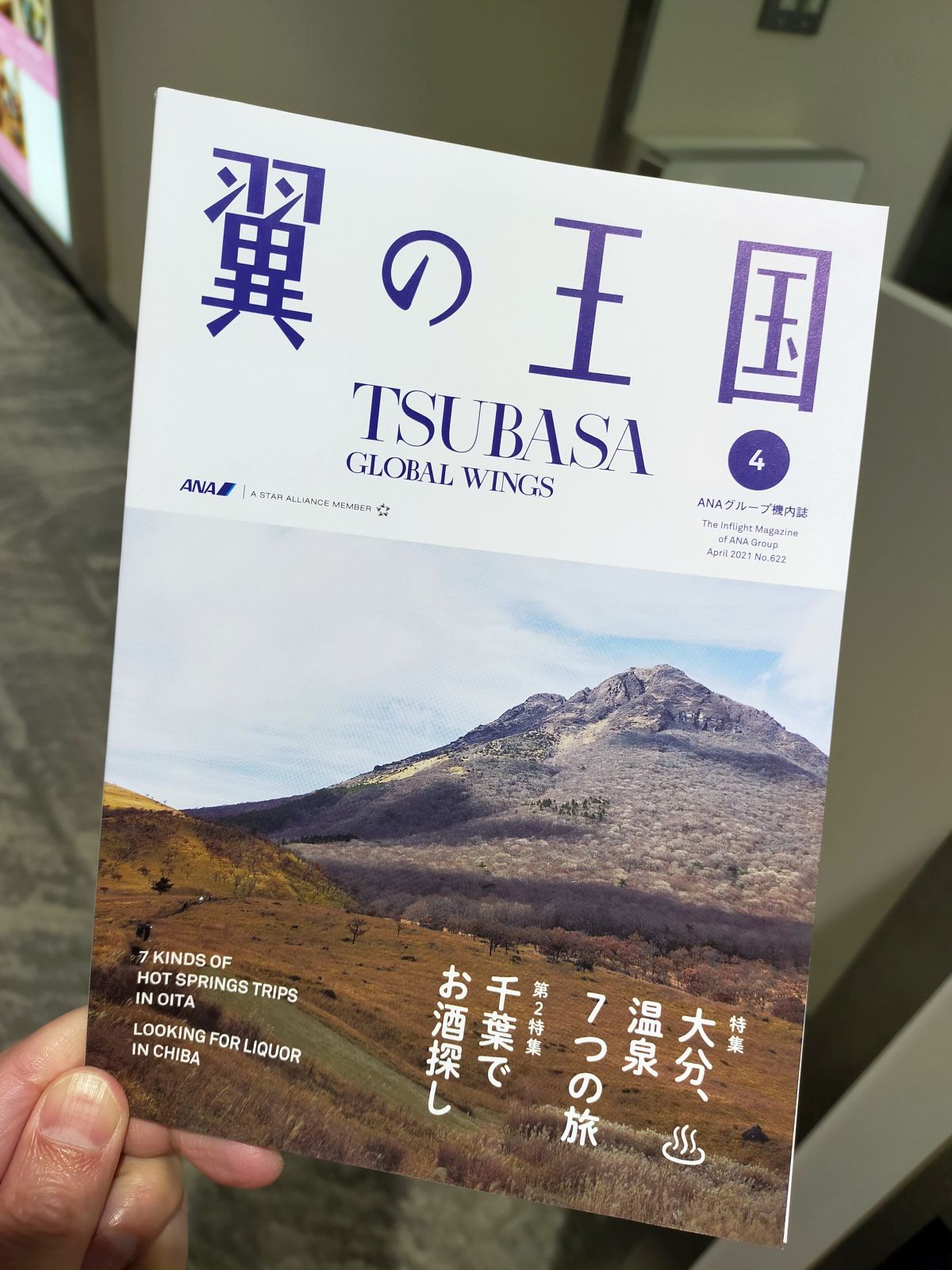 翼の王国