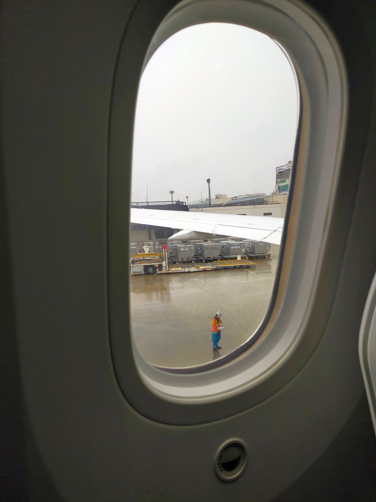 B787の窓