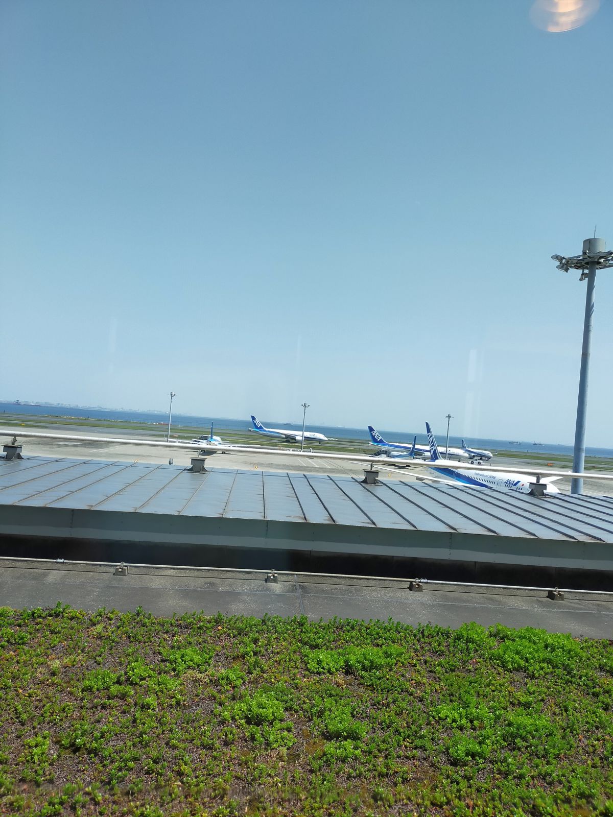 飛行機の見物