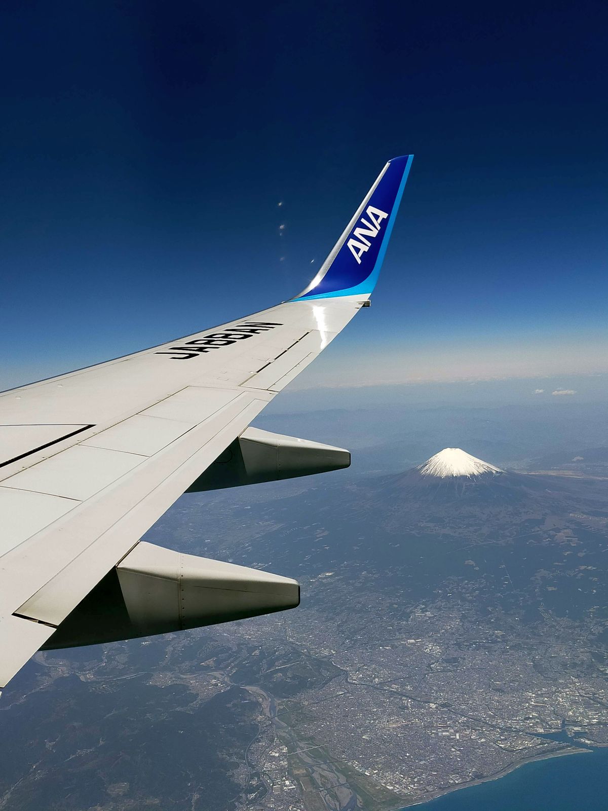 本日の富士山