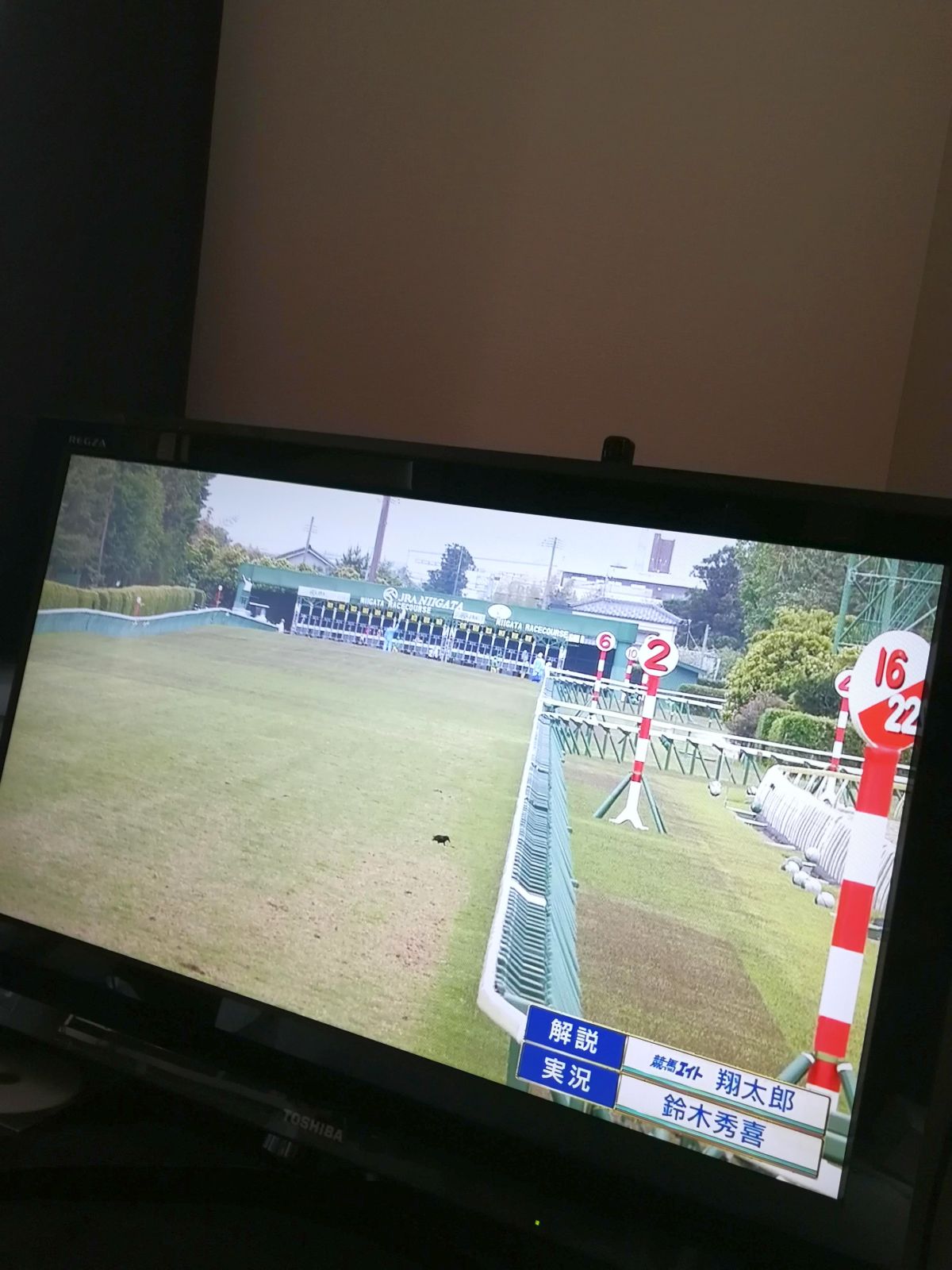 新潟直線1000mコース