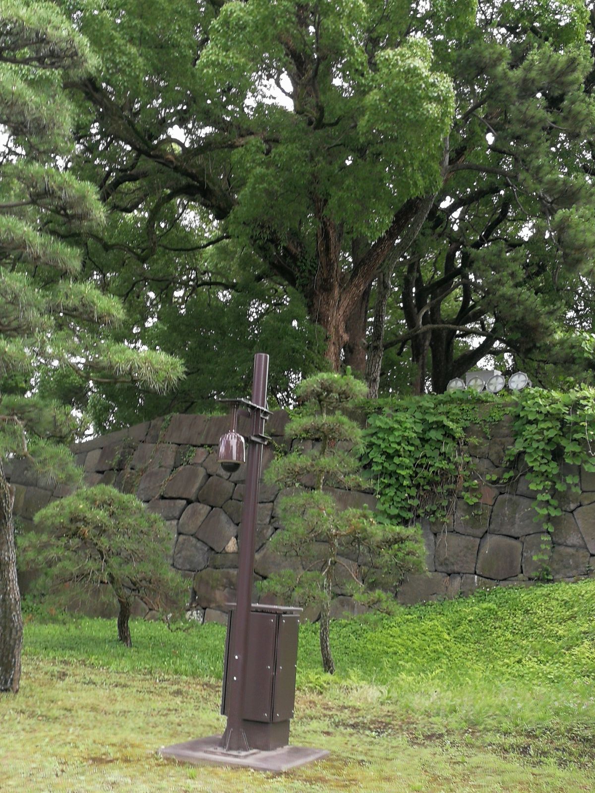 カメラ