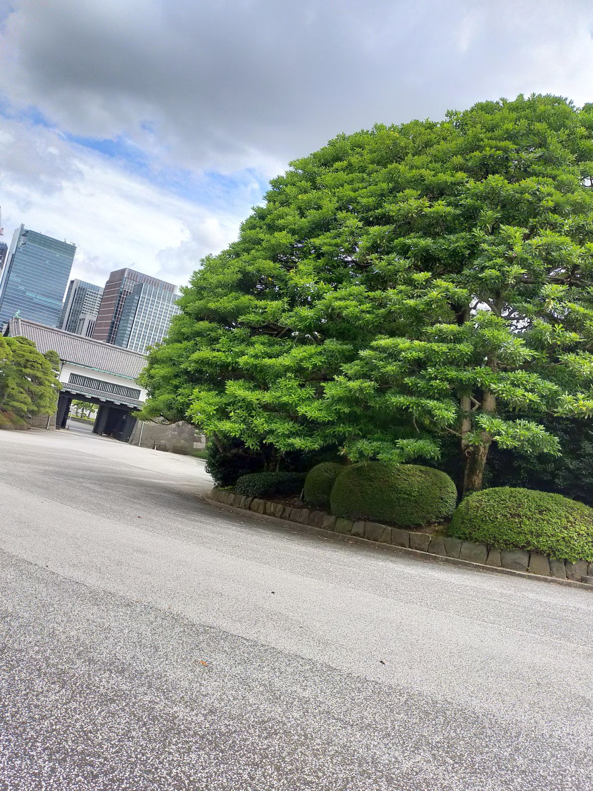 坂下門