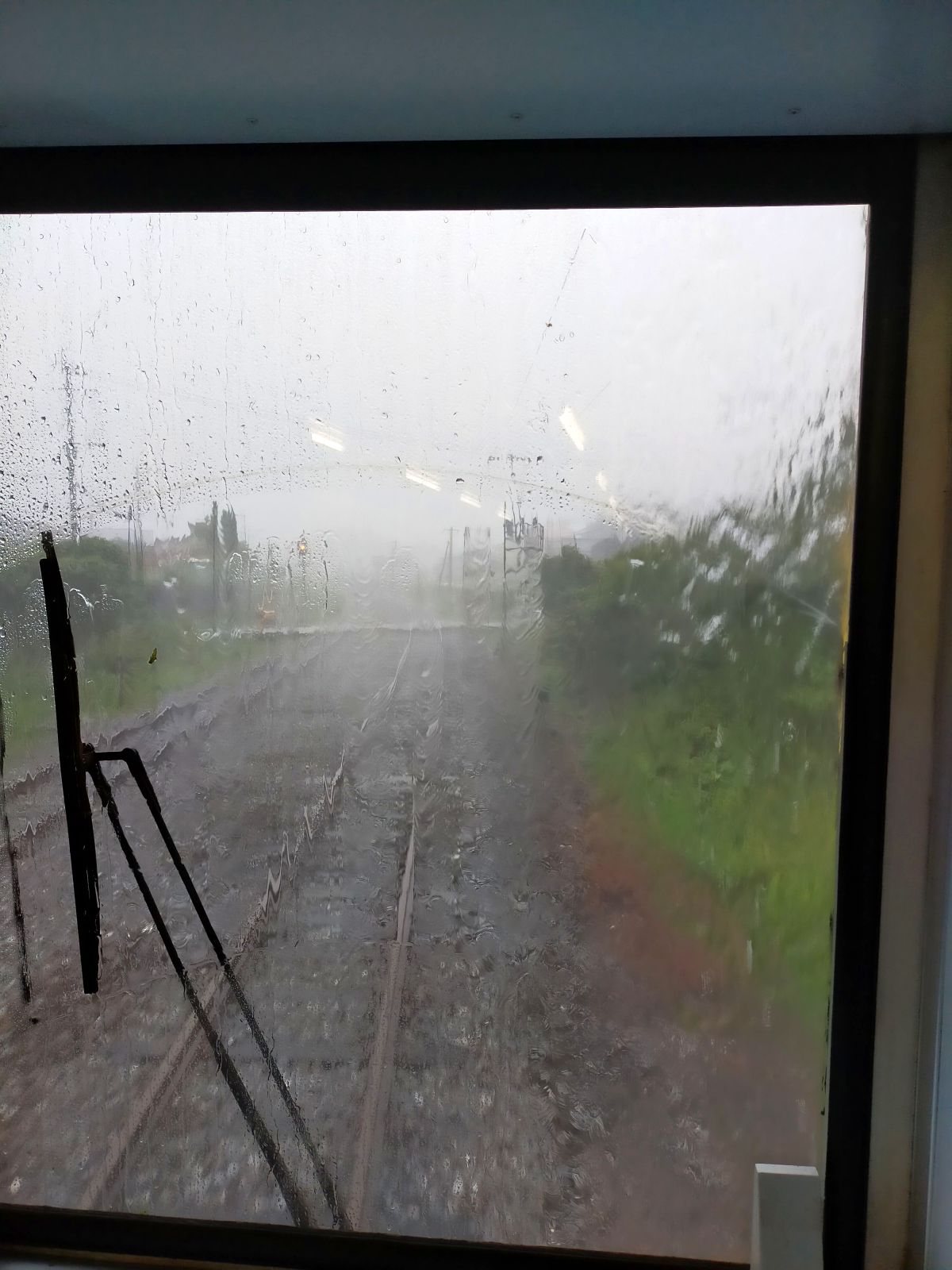 降雨状況