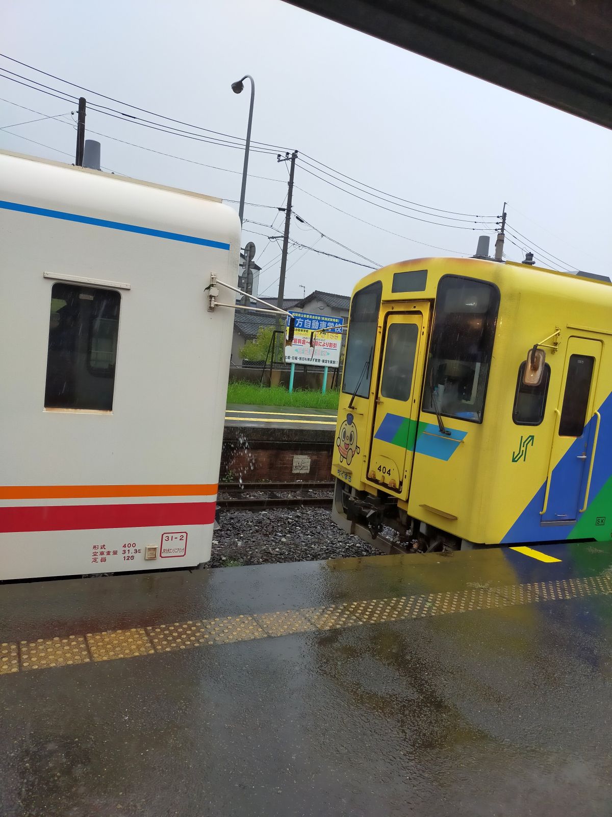 色違い