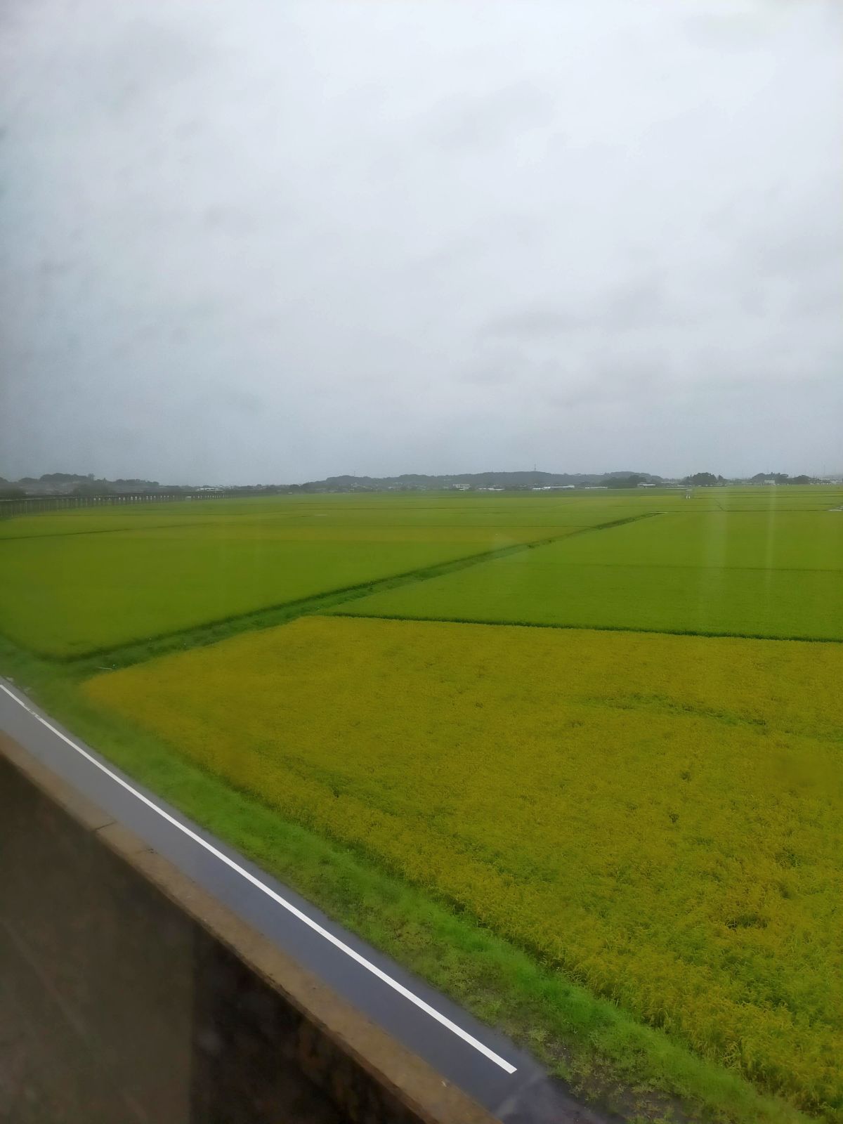 周囲の風景