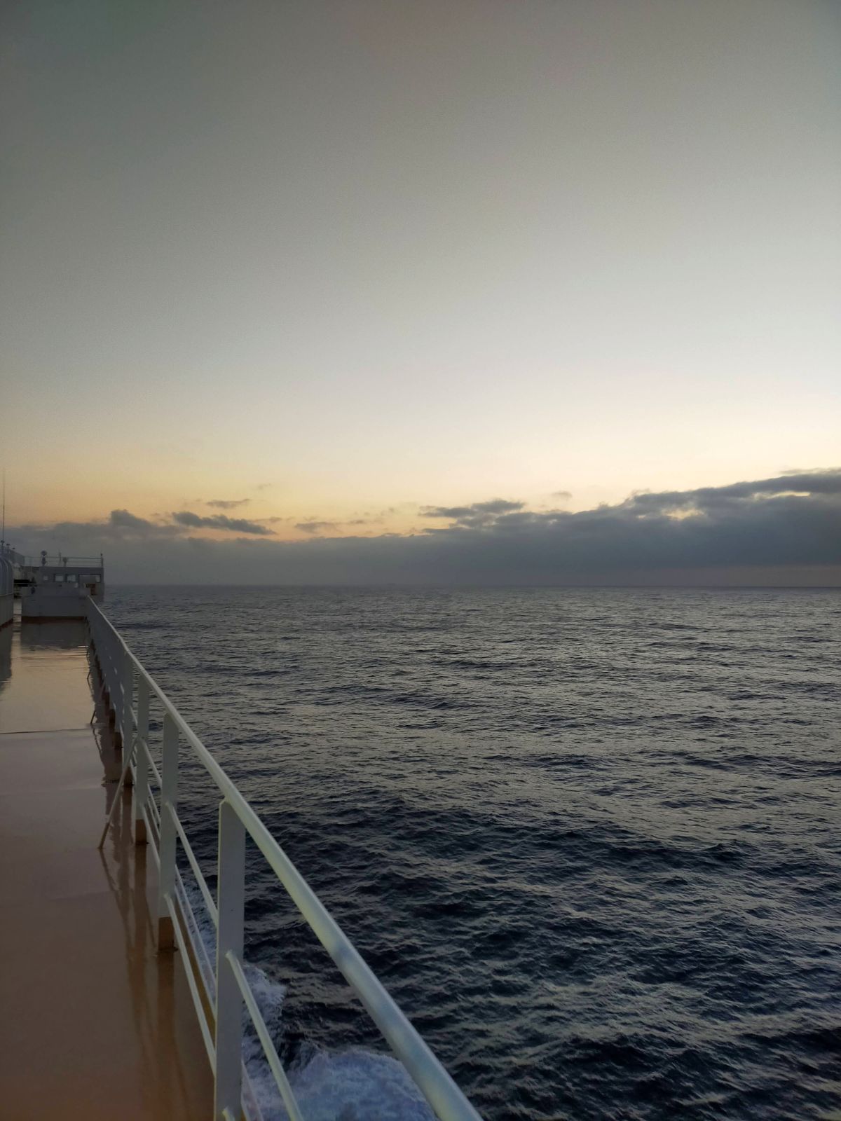 今朝の海