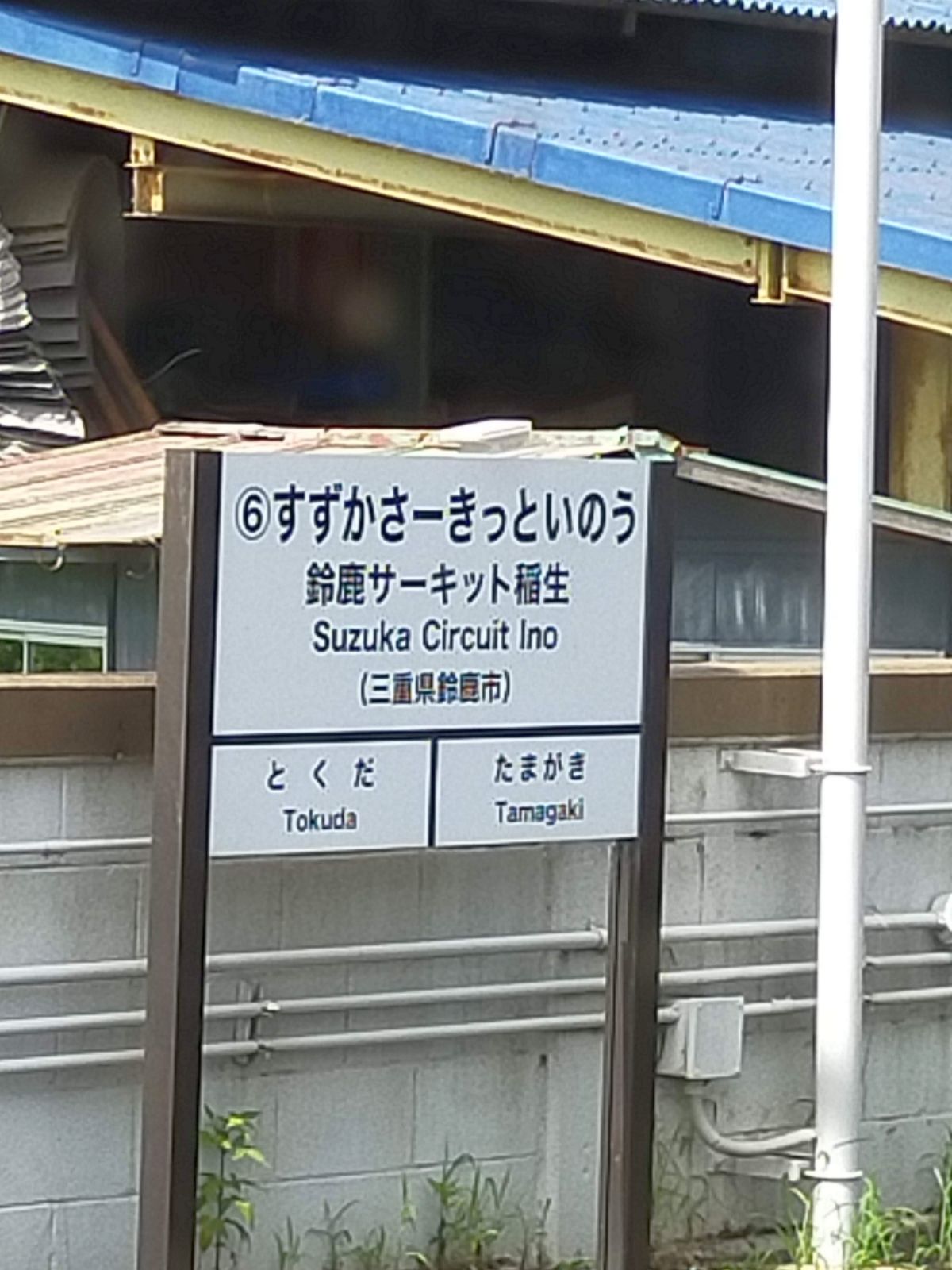 すずかさーきっといのう