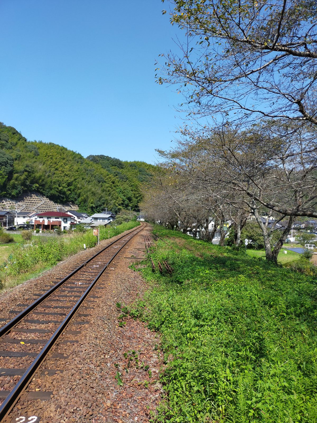 周辺の風景