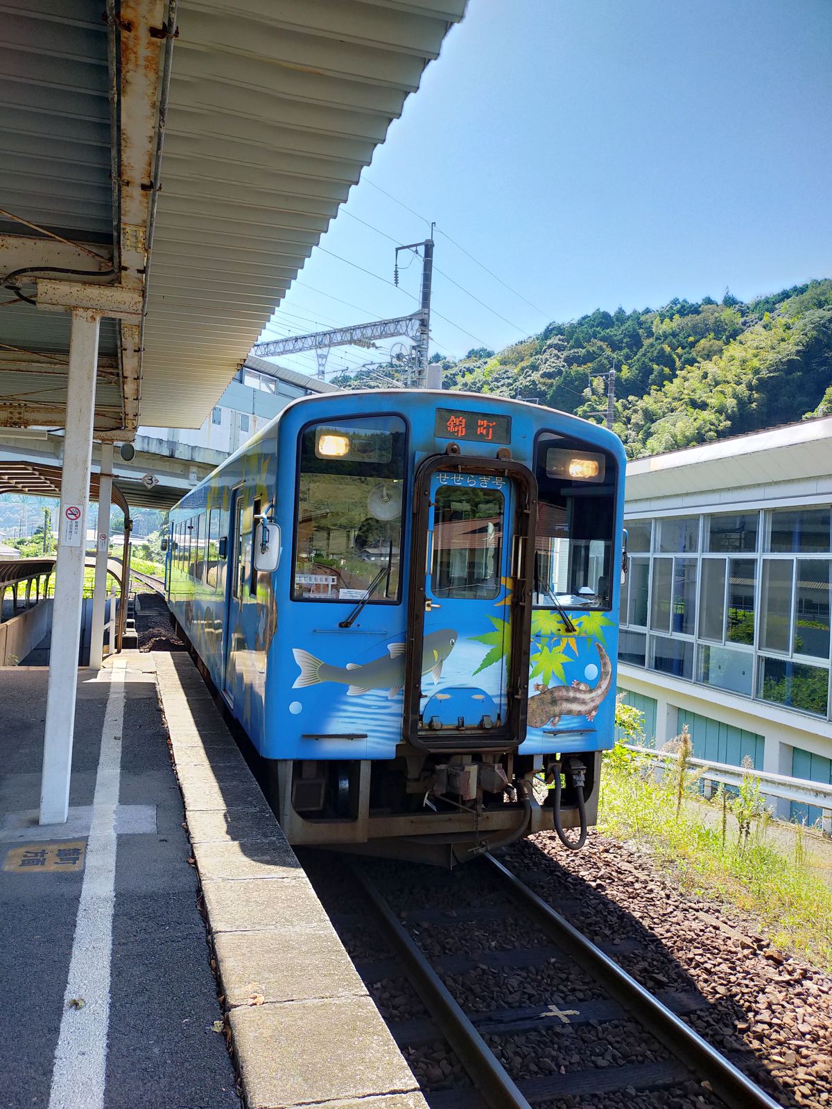 本日の車両